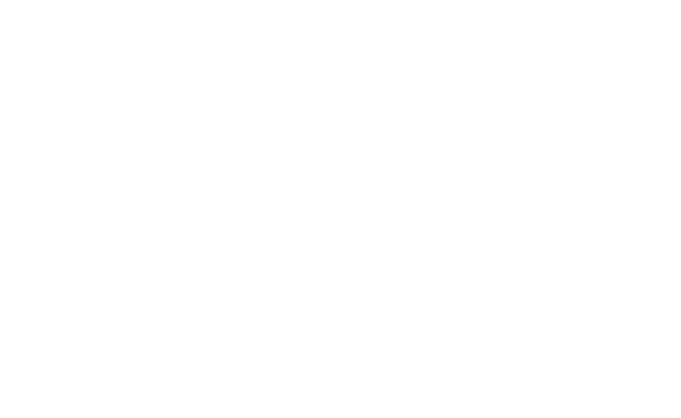 Nakamura Consultores S.A.C.